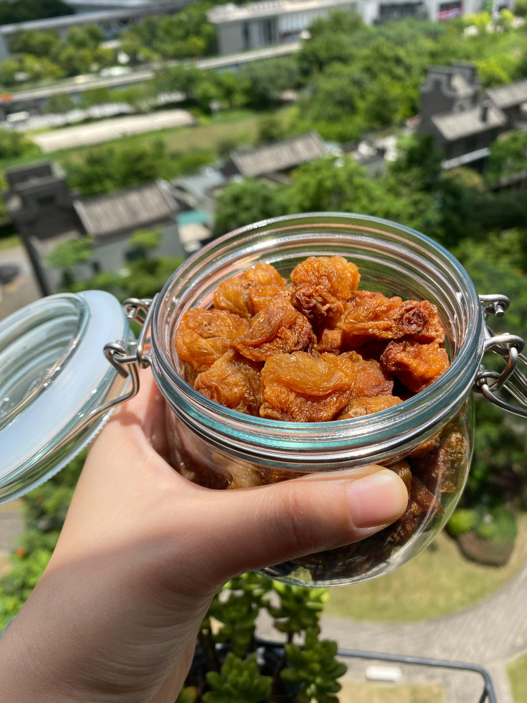 自制荔枝干
