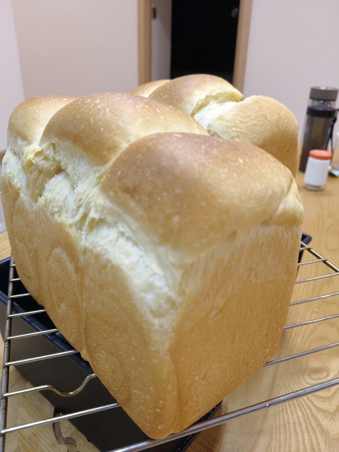 波兰种牛奶吐司