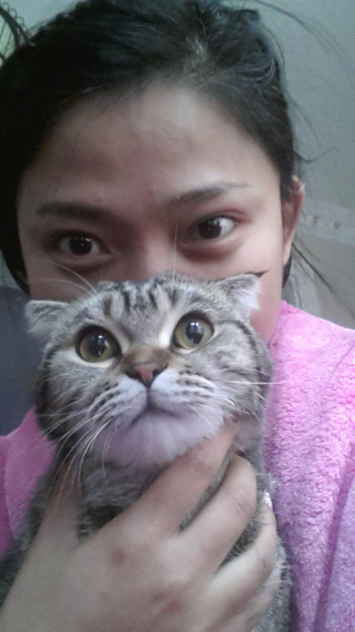 CJ猫小乐