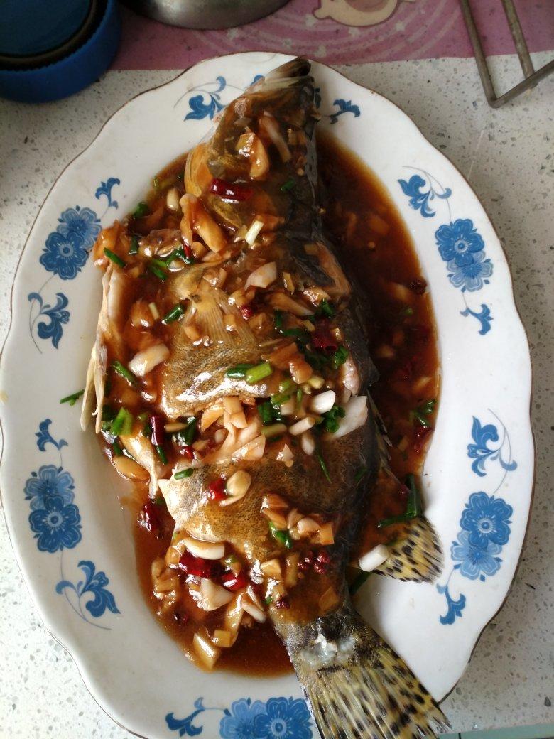 万用蒸鱼法