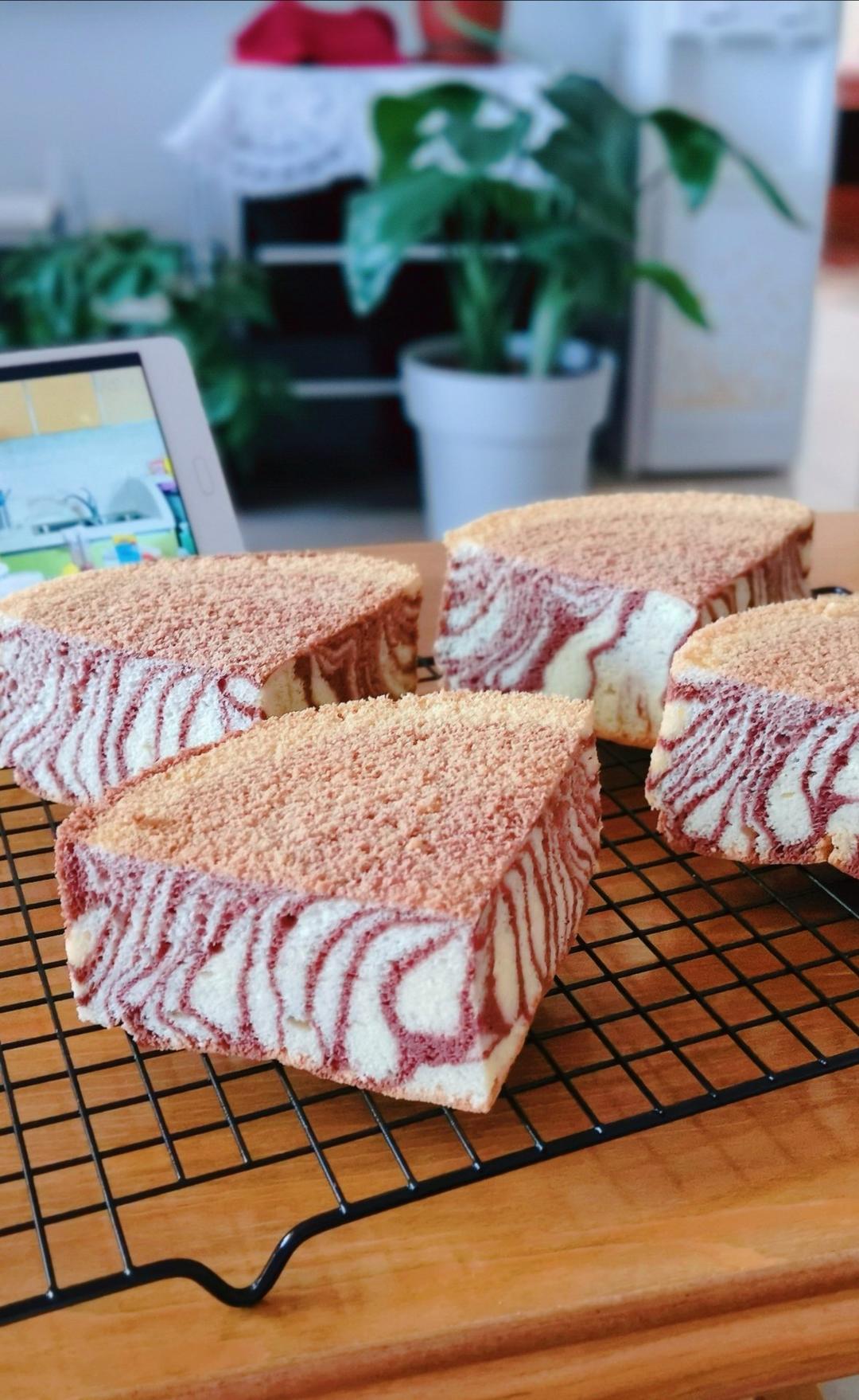 绿斑马戚风蛋糕