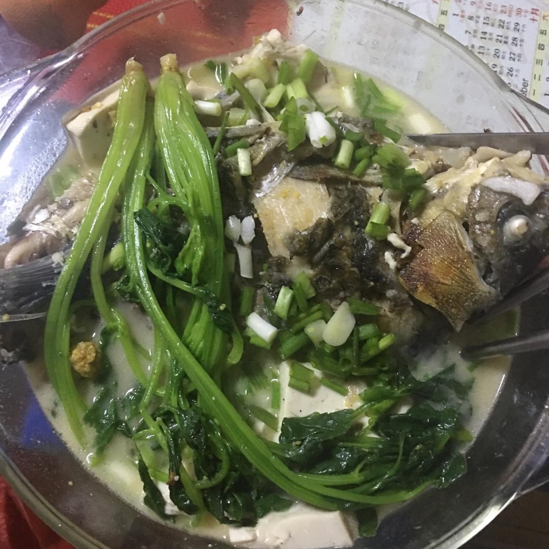（白汤）鲫鱼炖豆腐