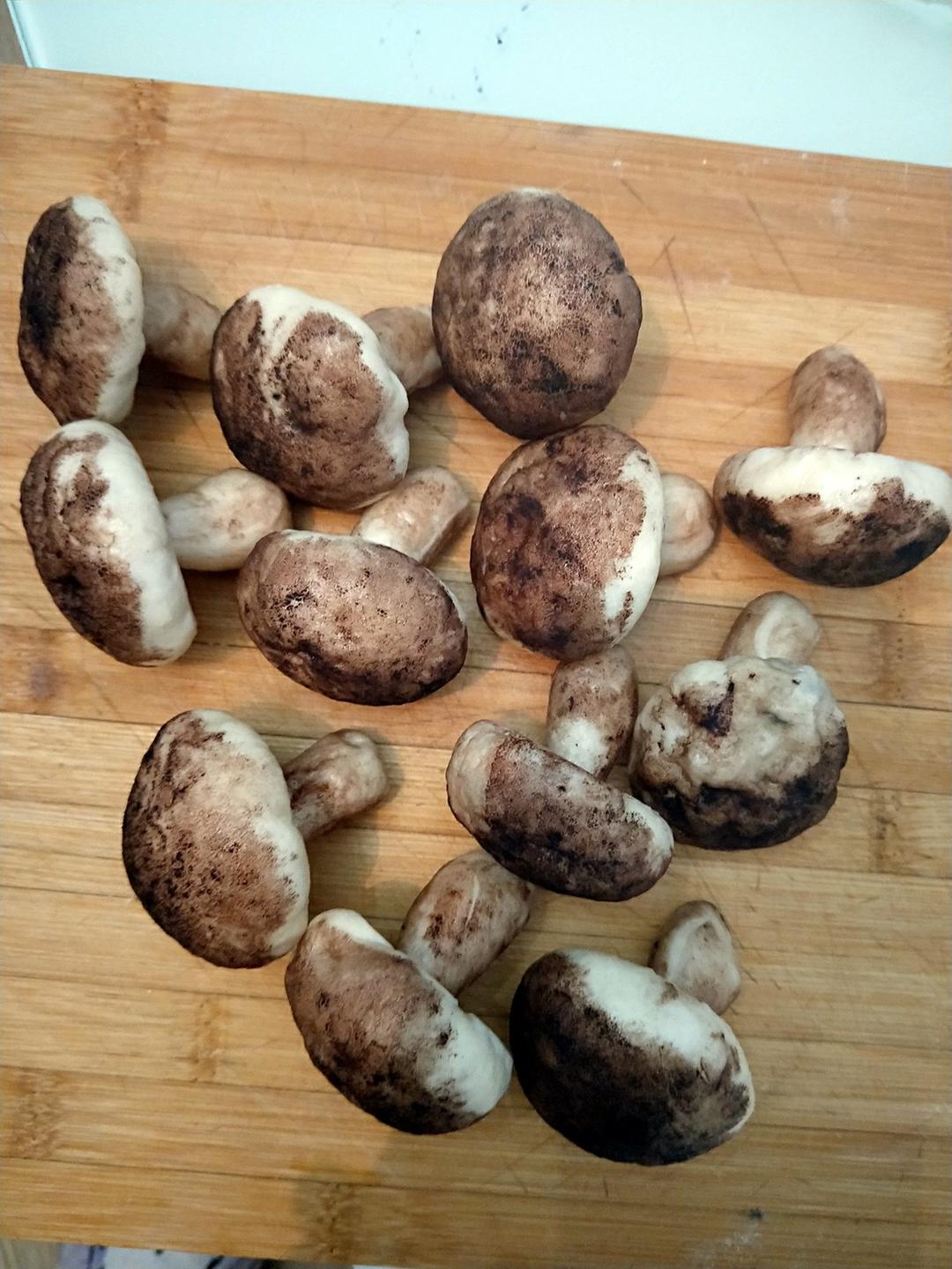 仿真香菇豆沙包