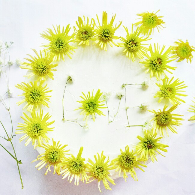 Daisy Cake （Passion Flower Chiffon）