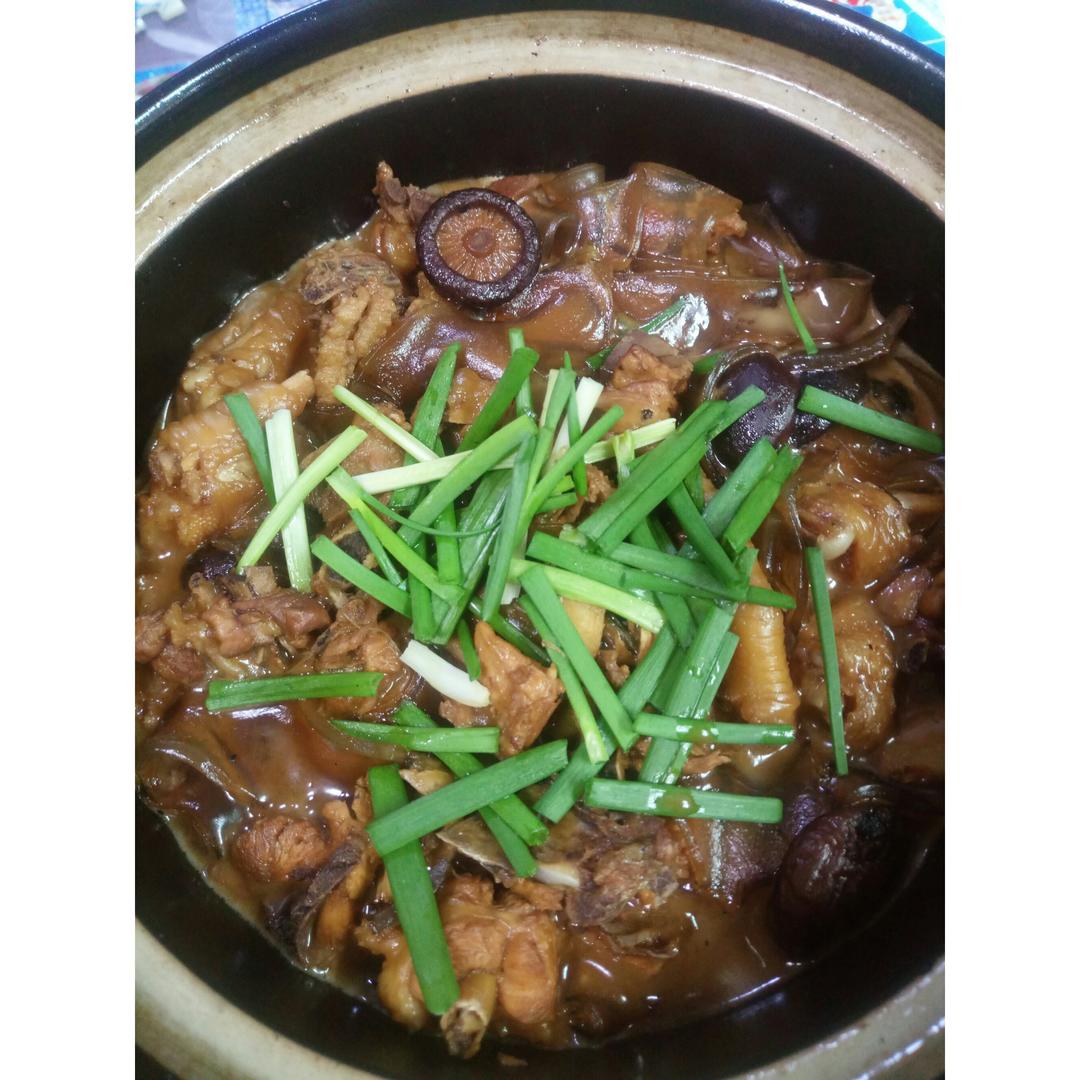 鸡肉蘑菇炖宽粉Stewed Chicken with Glass Noodles