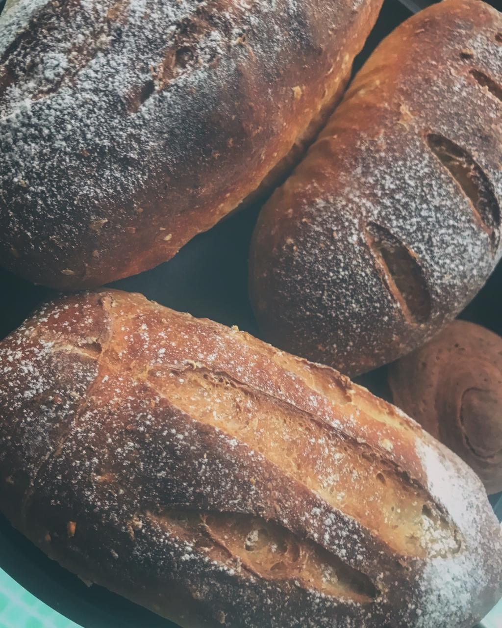 无油无糖全麦燕麦软欧面包