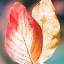 手机用户0521_65yb