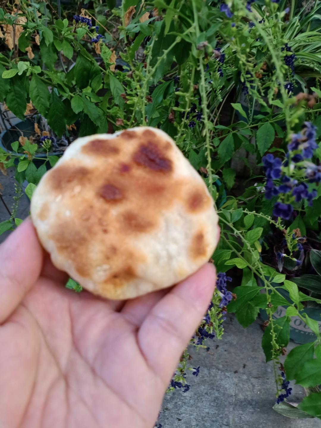 葱油麦饼——（老无锡人的美食情节）