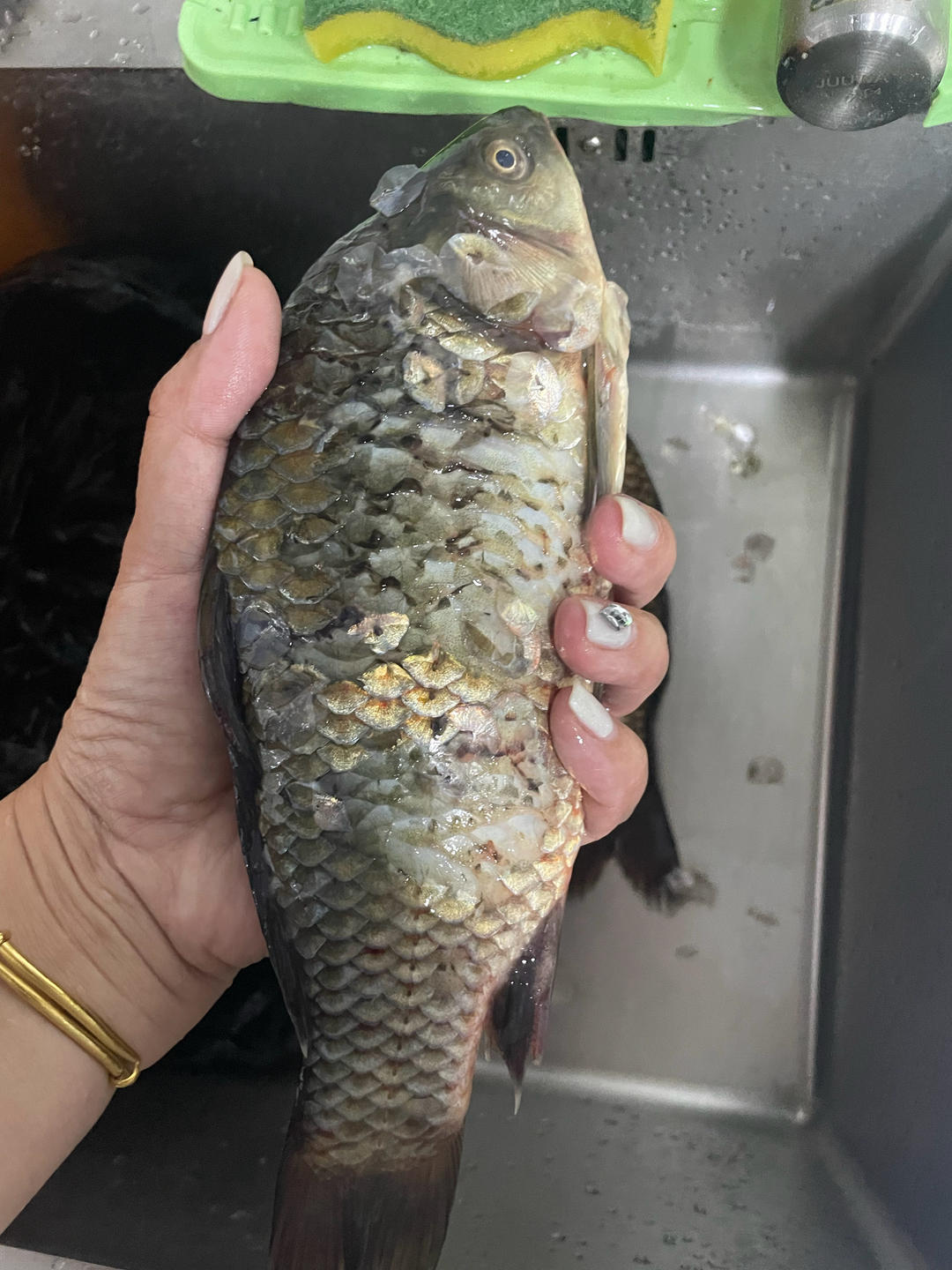 家常炖鲫鱼