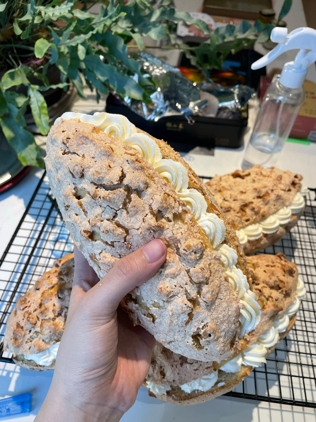 核桃布里奥斯面包又火了