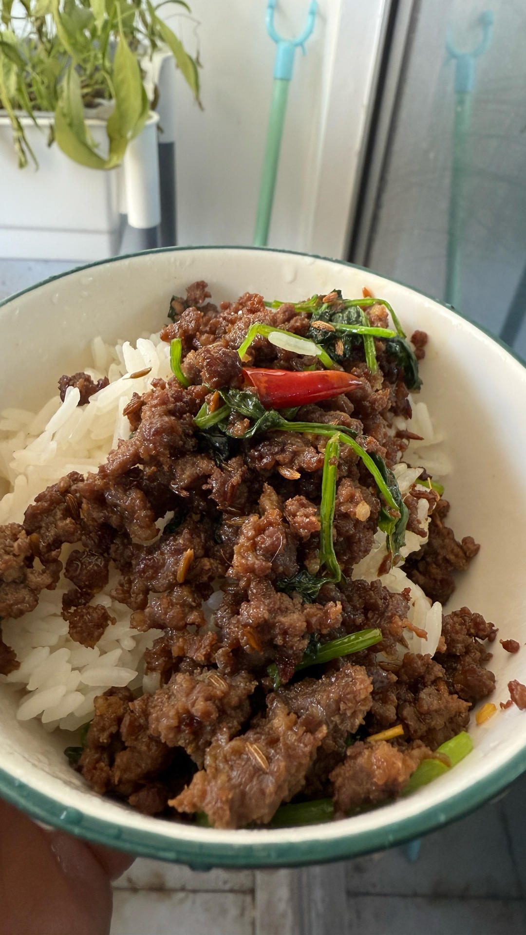 香菜炒牛肉，香辣下饭，爱吃香菜的朋友看过来，拌饭绝了