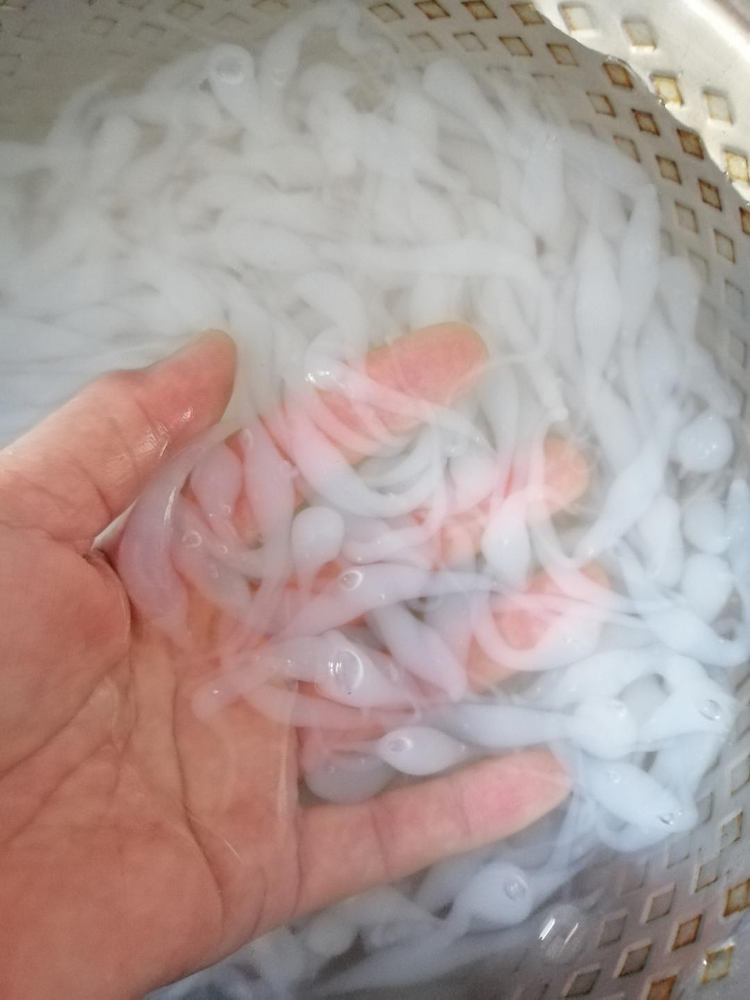 麻辣漏鱼儿