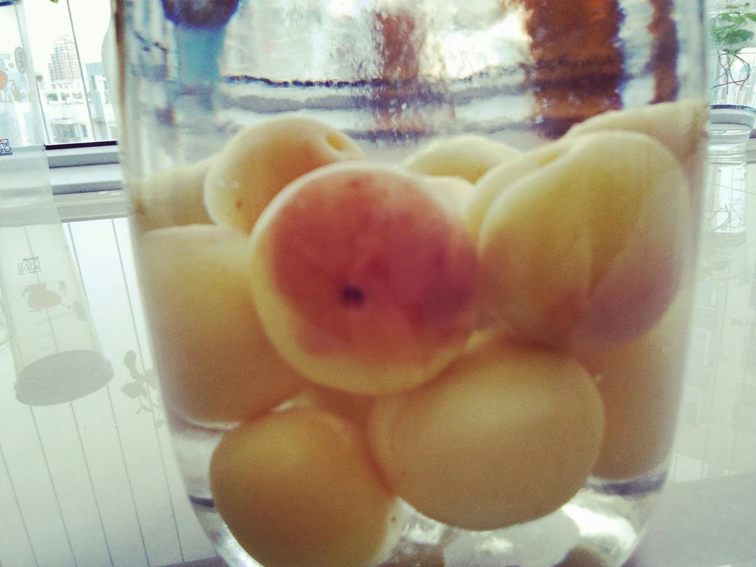 再也没有办法不爱李子的两种做法【李子酒+李子酱】