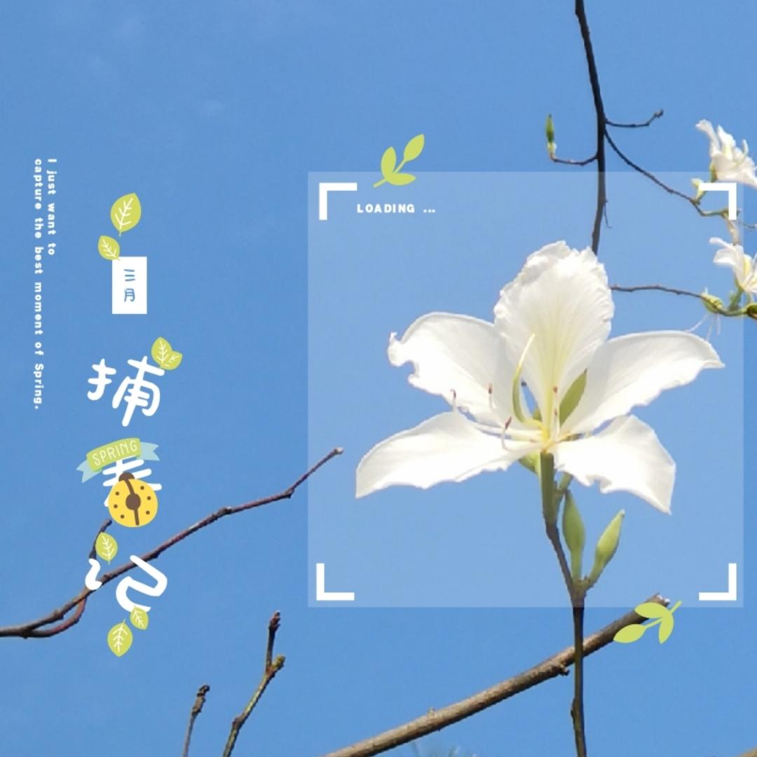 人生若只如初见123123