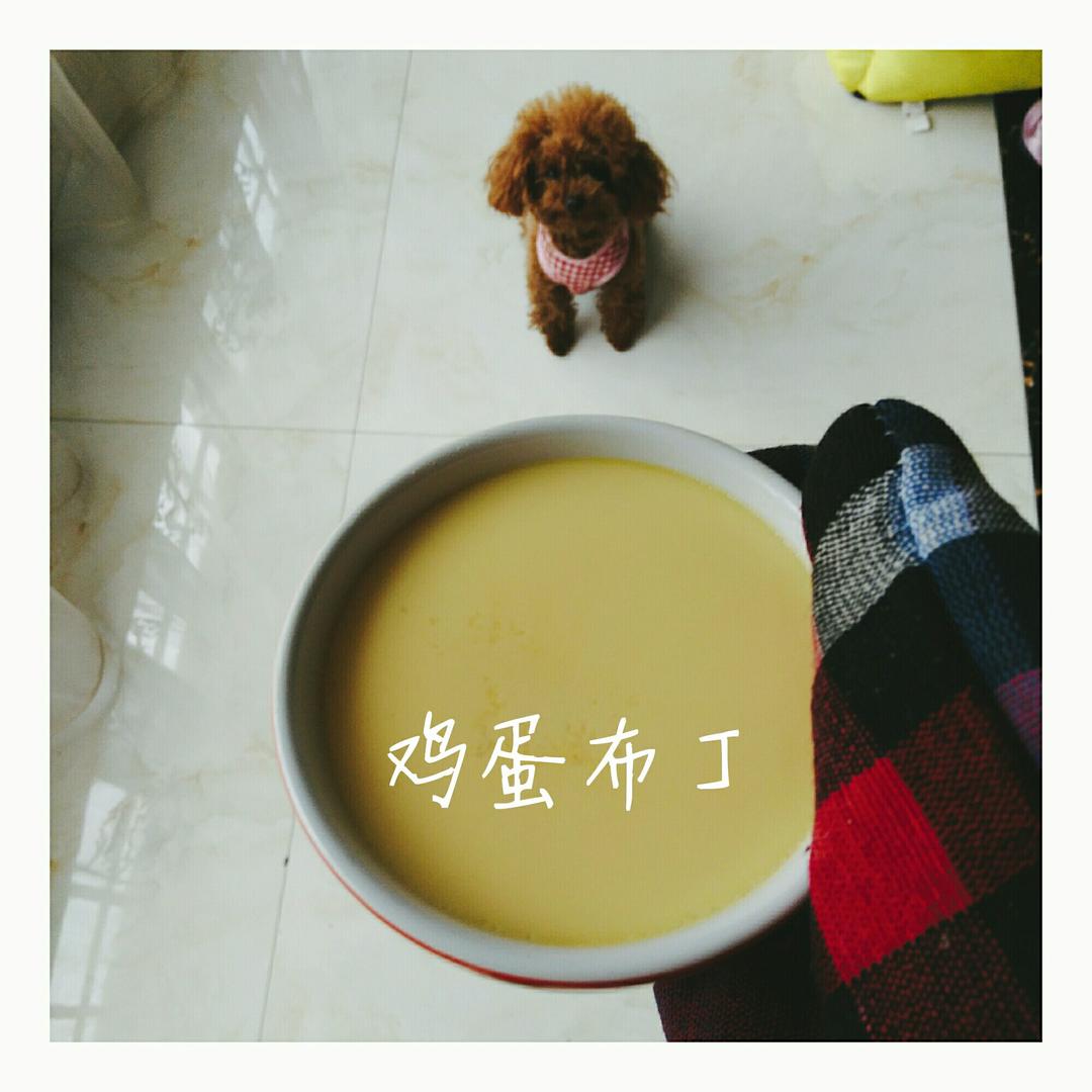 【君酱食谱】0失败 鸡蛋布丁(巨简单版)🍮🍮