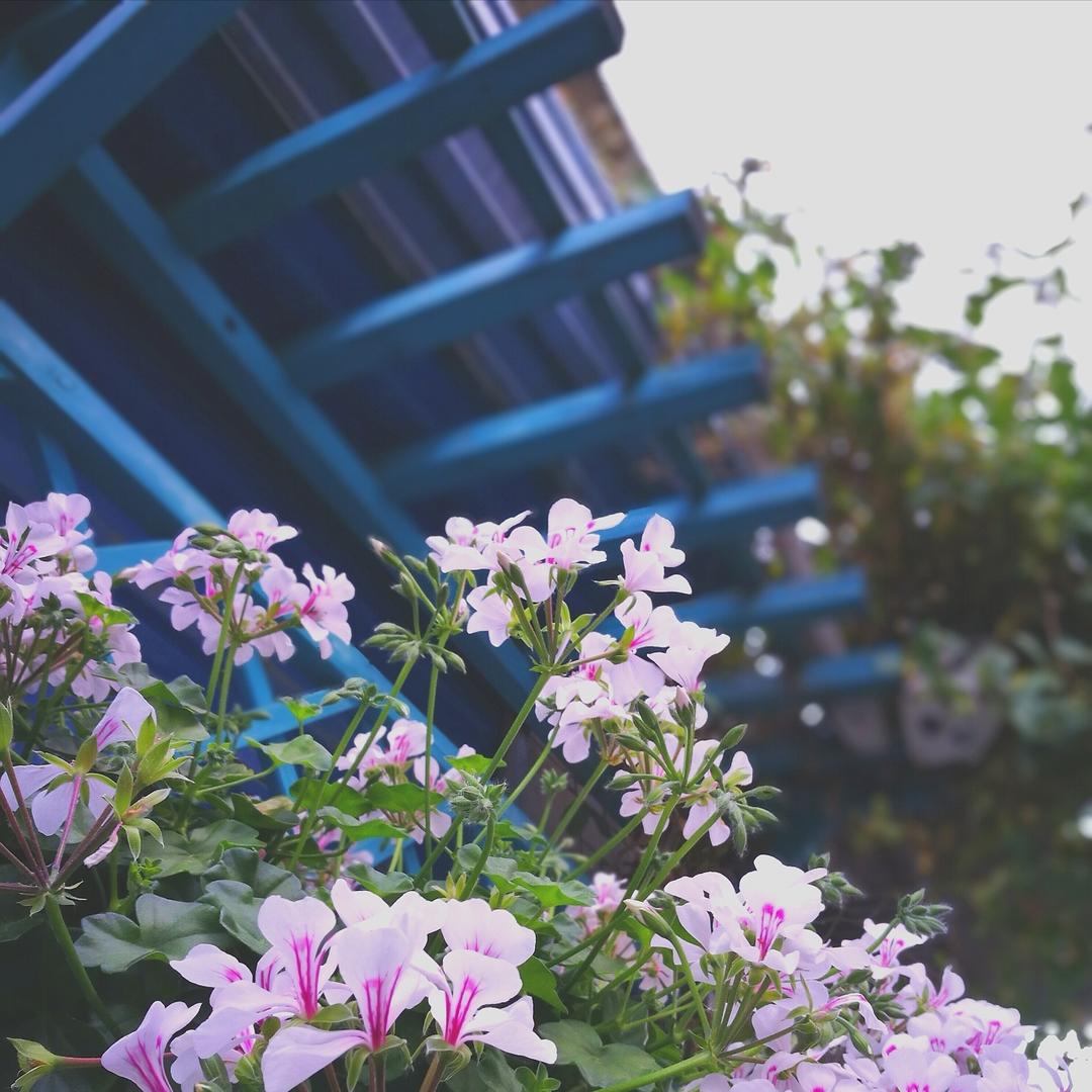 再忙也别忘记生活