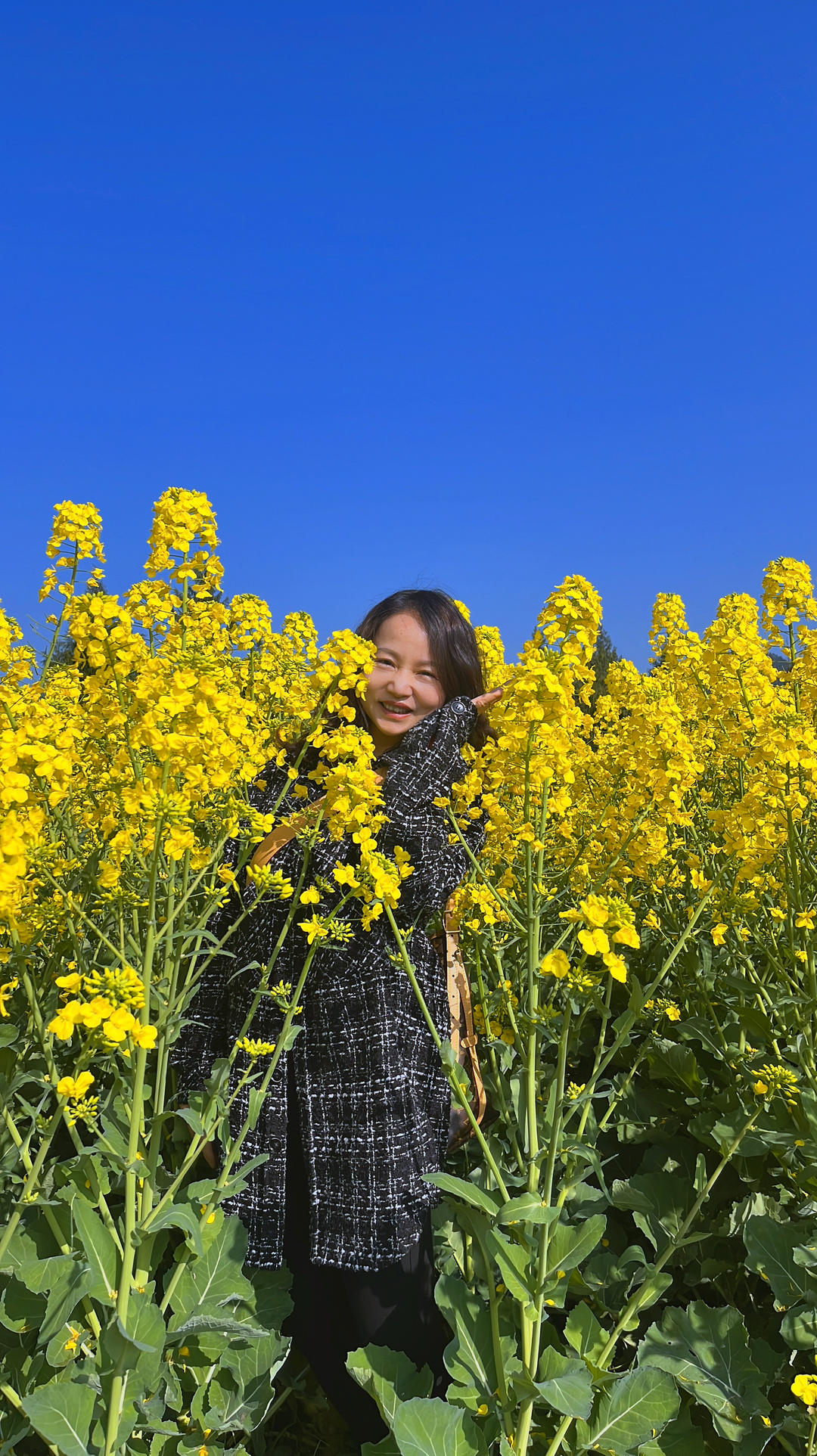 夏天的风的美食