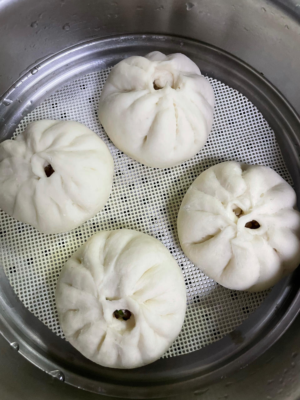 一次发酵肉包子