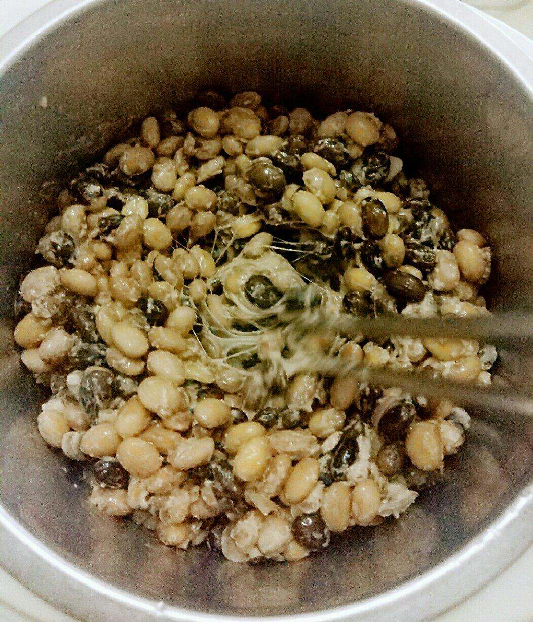 （无纳豆机）自制拉丝纳豆