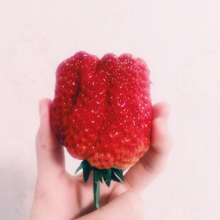 冬日里最爱的食物颜色