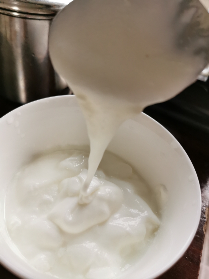 自制菌丝生活酸奶的做法 步骤8