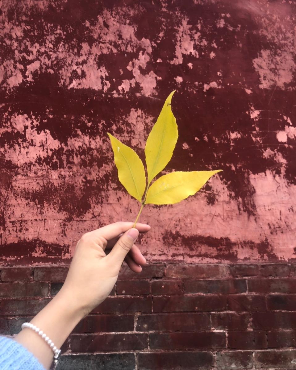 生活点滴