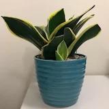 没事美食吧