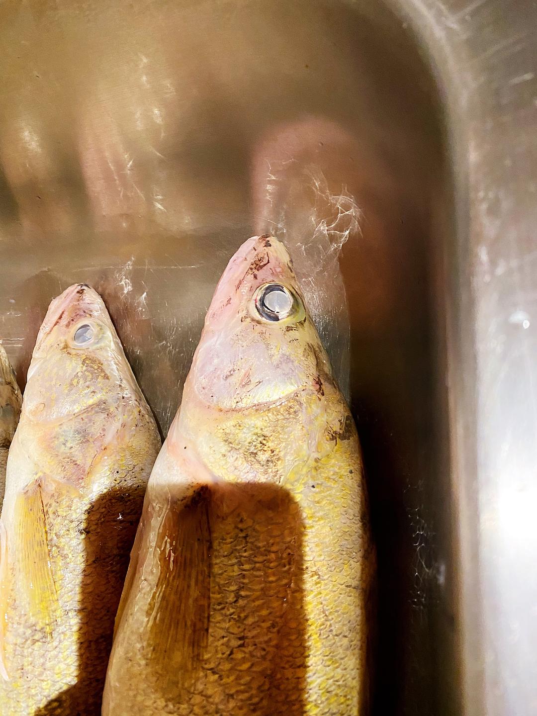 清蒸碧古鱼(玻璃梭鲈,墙眼,walleye无赖)的做法 步骤1