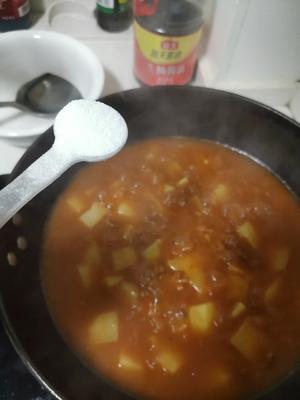 西红柿土豆炖牛肉的做法 步骤24