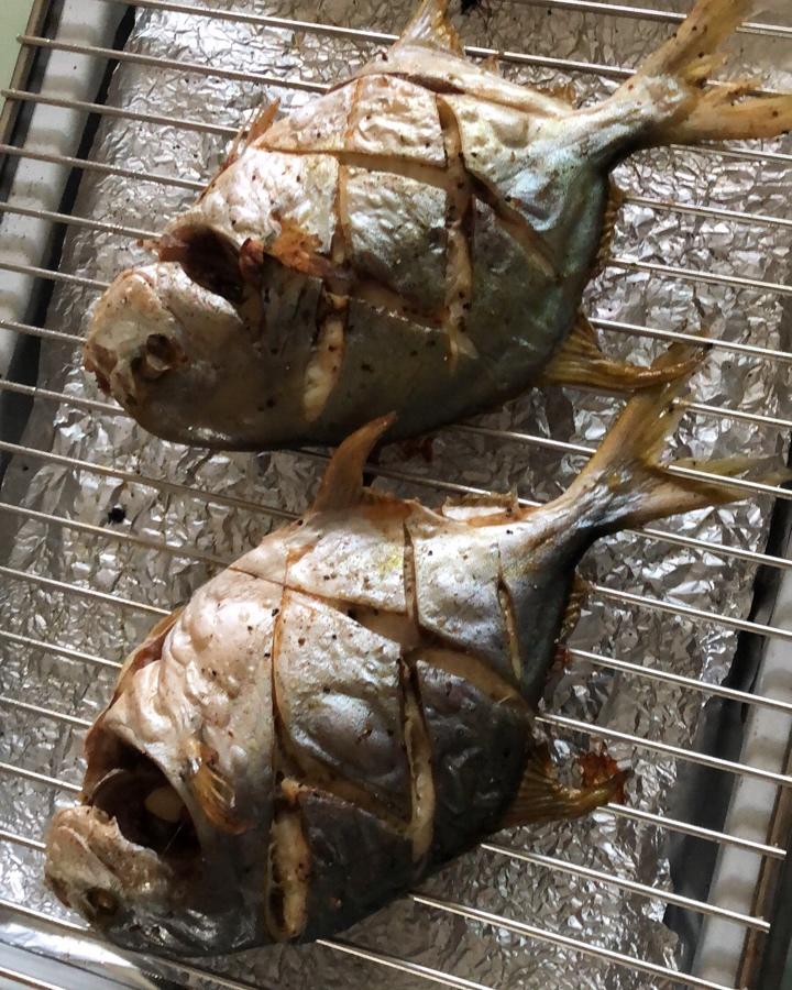 焦香烤鱼