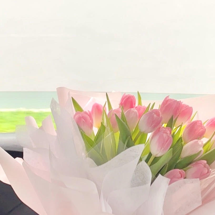 universe宇宙的宠儿