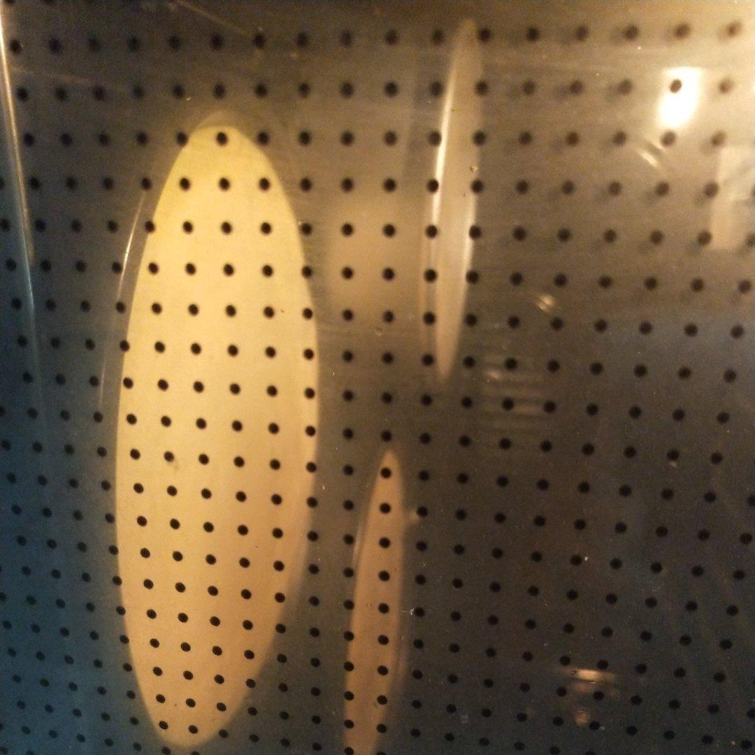 有着芝士口感的酸奶蛋糕