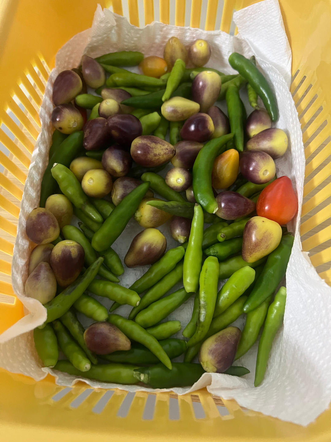 自制泡椒（腌小米椒）