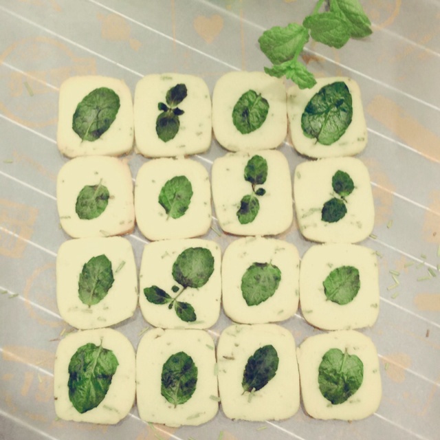 手工香草饼干
