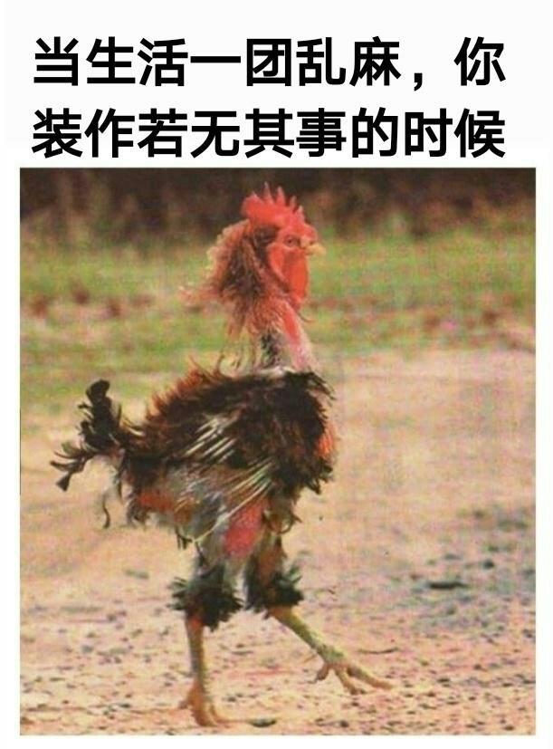 My dailylife