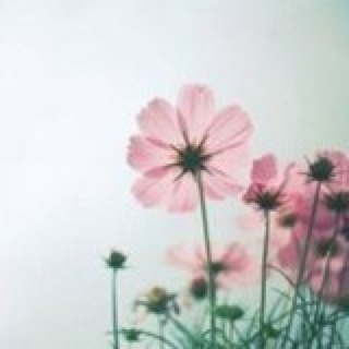 蜻心蜓衣