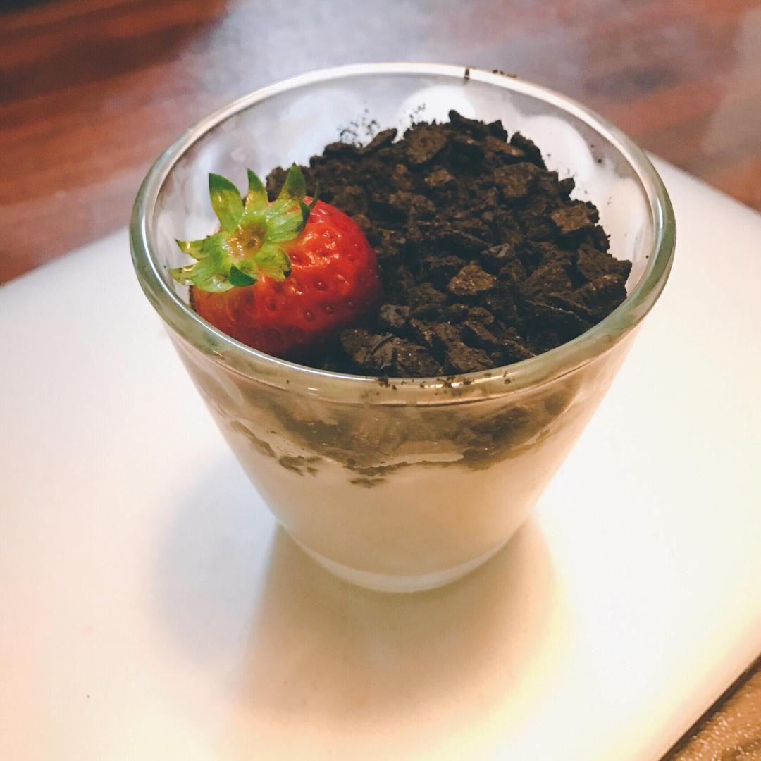 盆栽酸奶