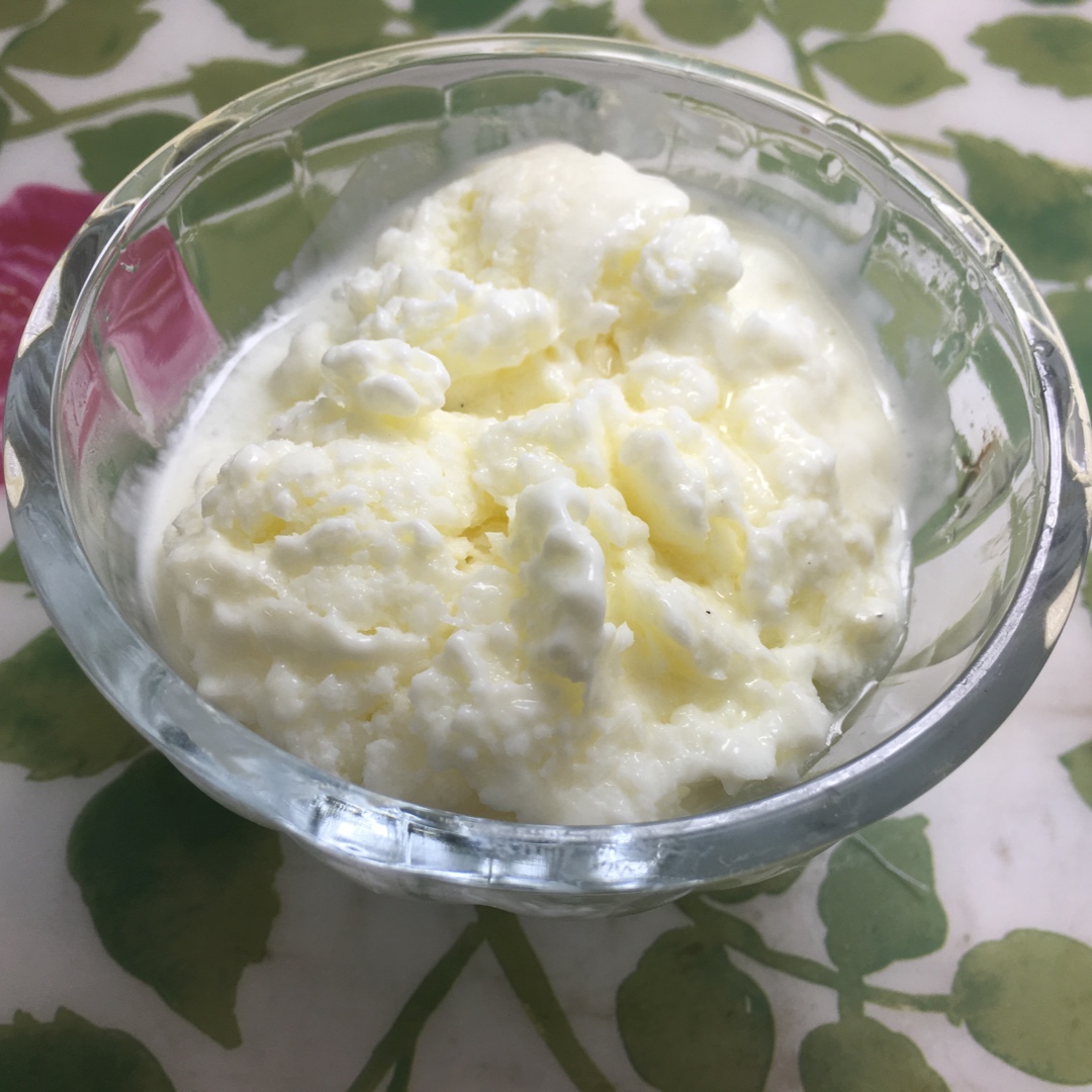 不用奶油的酸奶冰淇淋