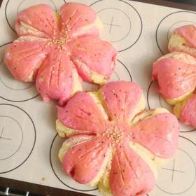 火龙果椰蓉樱花面包B51