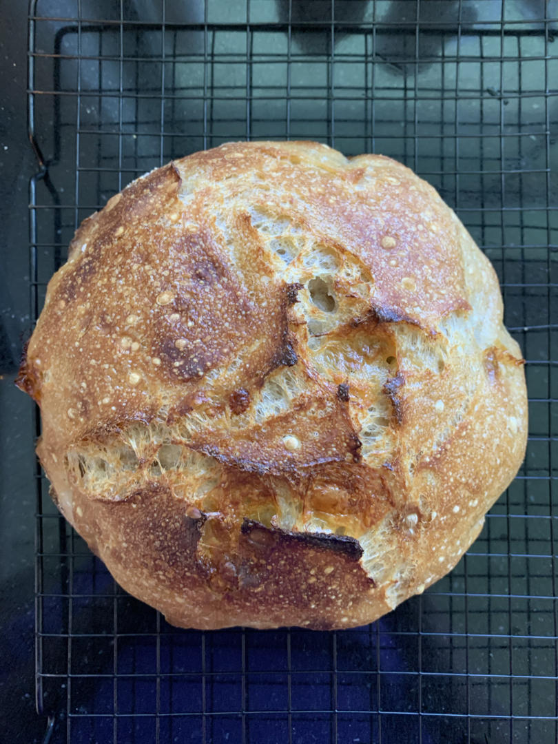 Sourdough高含水量（自留