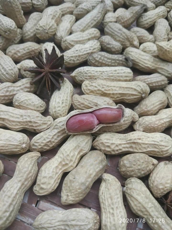 早午晚餐