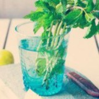 香草的杯子