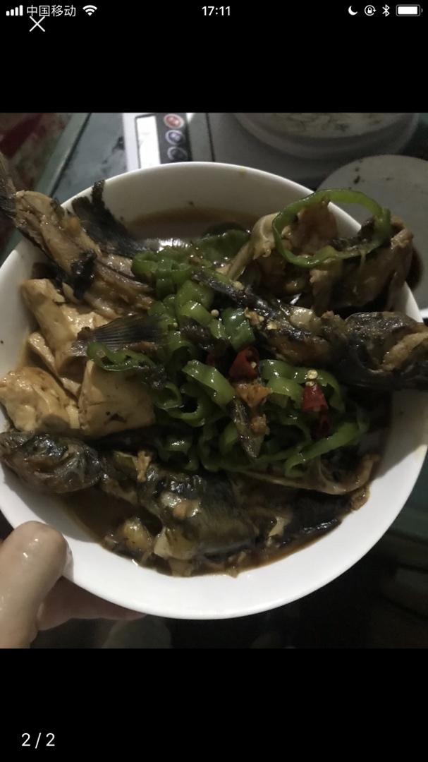简单的鱼烧豆腐