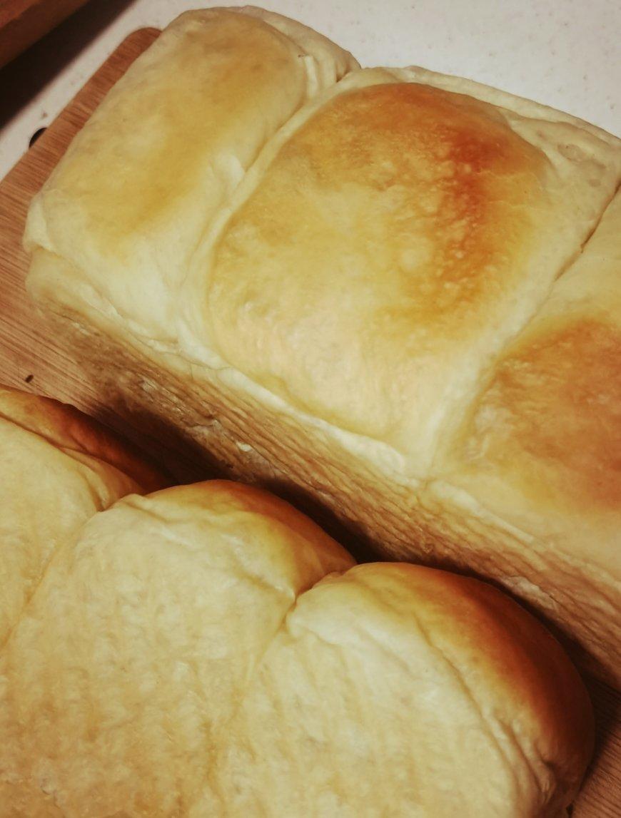 一波长了角的巨蛋面包