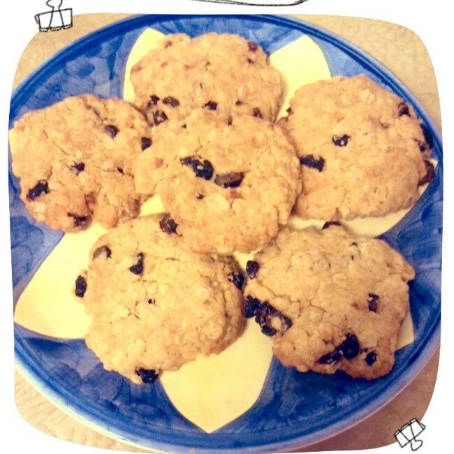 提子燕麦饼干