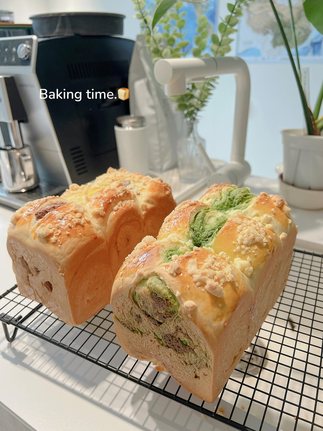 【奶酥吐司】｜抹茶+可可两种口味｜简单快手版