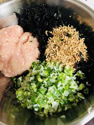 紫菜虾皮云吞的做法 步骤3