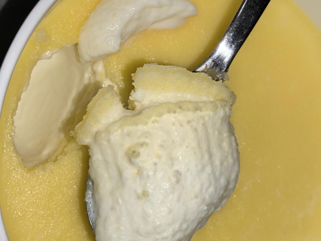 这么好吃的奶皮子酸奶，我竟然刚知道！！！做法巨简单