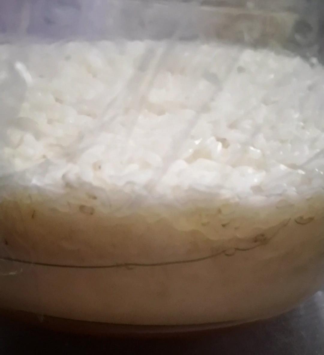 酒酿 (酒酿系列一）