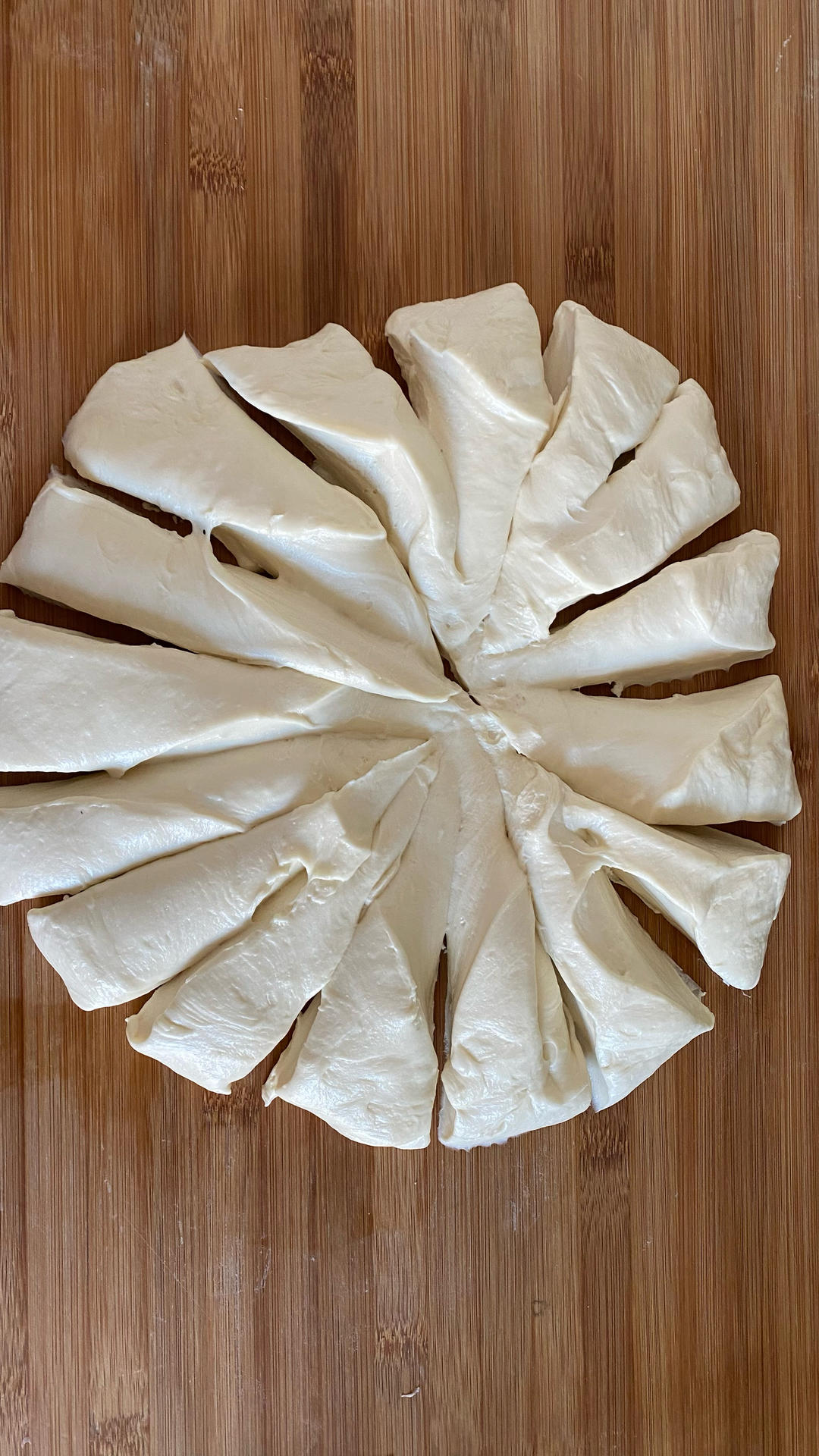 手揉日式海盐牛角包🧂（水合法💧超轻松）